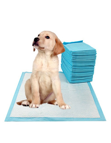 Pets Empire Dog Training Pads