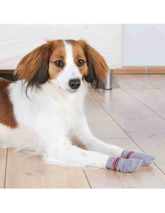 Trixie Dog Socks non-slip,Grey 2