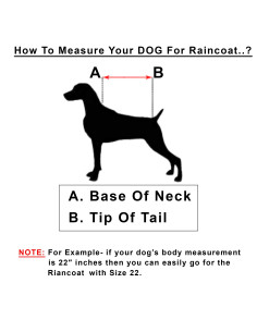 Lorient Dog Raincoat, M 2