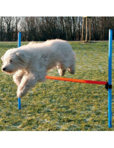 Trixie Dog Activity Agility Hurdle (Blue/Orange)  2