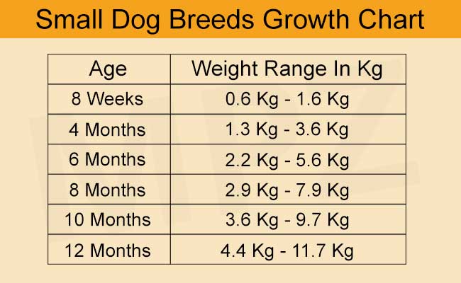 Labrador Retriever Growth Rate Chart