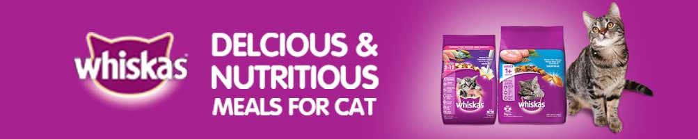 Buy Best Dry Cat Food online at best prices in India