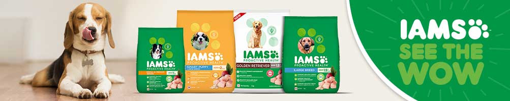 Buy Dog Products Online India at Best & Lowest Prices