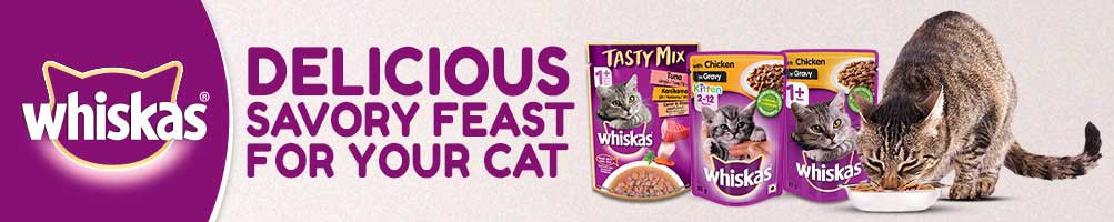 Buy Cat Products Online India at lowest prices running in discounts