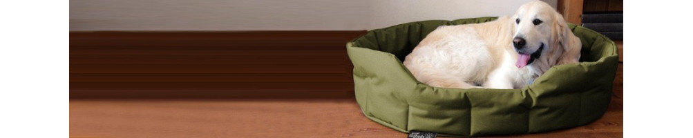 Buy Dog Round Beds Online India Get Upto 60% off