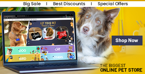 Online deals puppy shop