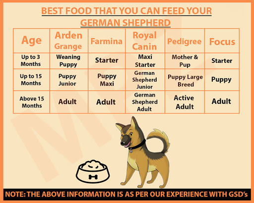 Food for German Shepherd